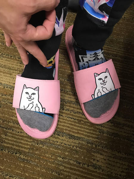 Morning Picdump