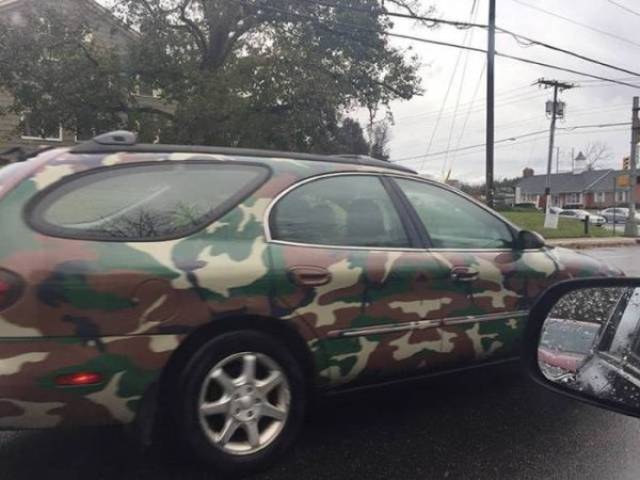Morning Picdump
