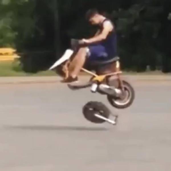 Content Image