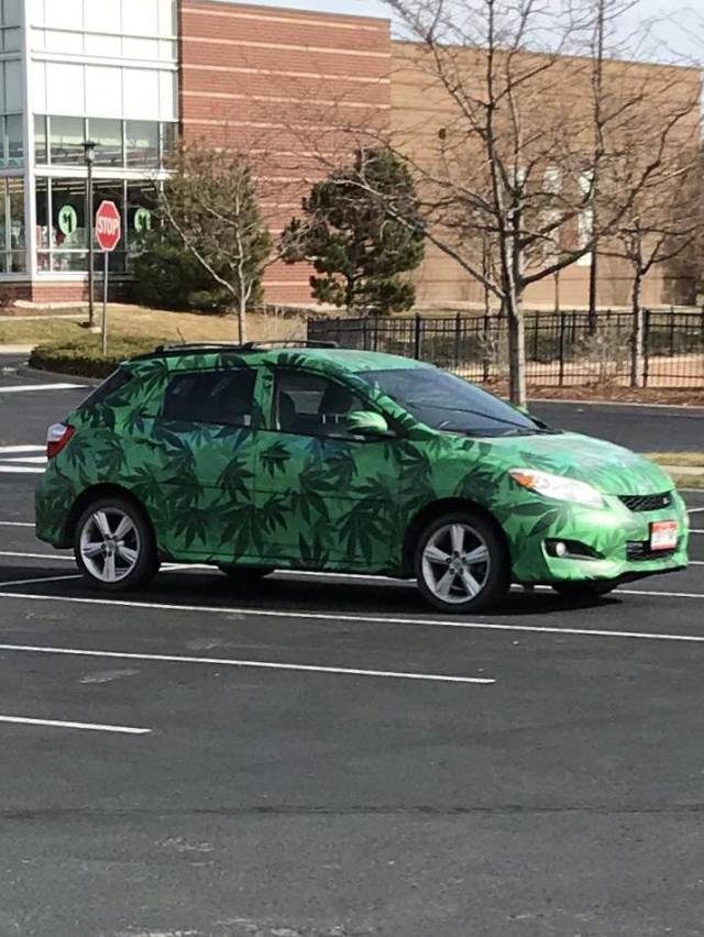 Content Image