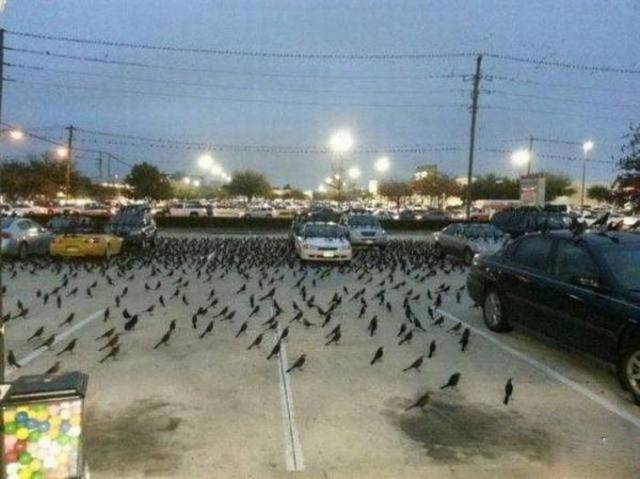 Daily Picdump