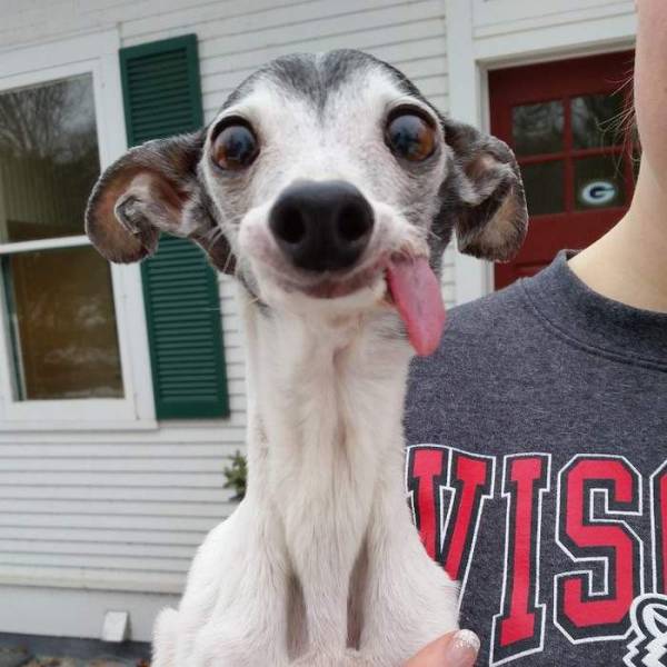 Daily Picdump