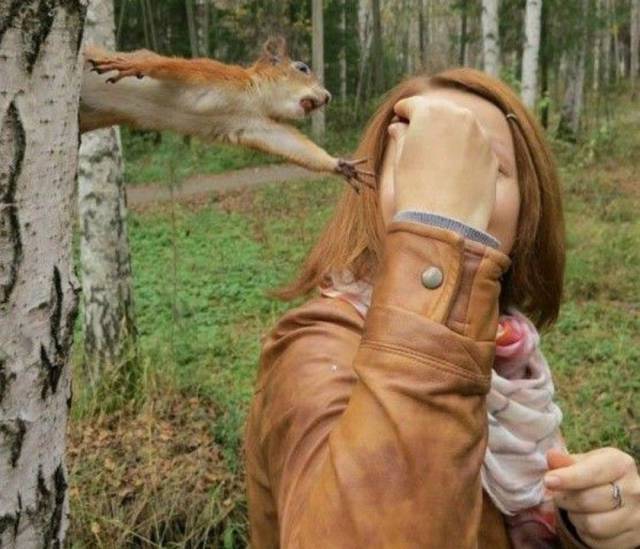 Content Image