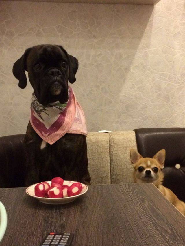 Daily Picdump