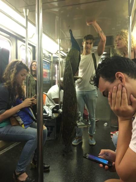 Morning Picdump