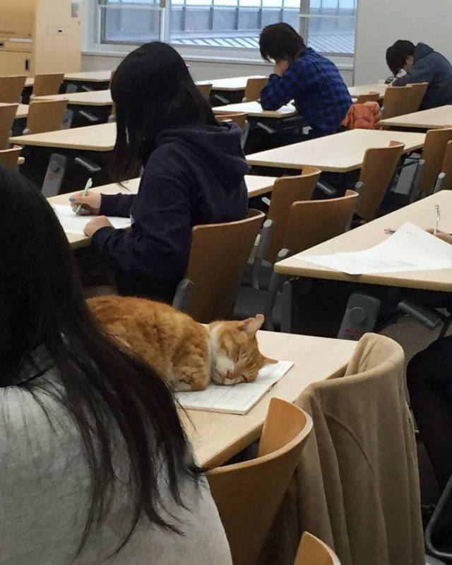 Morning Picdump