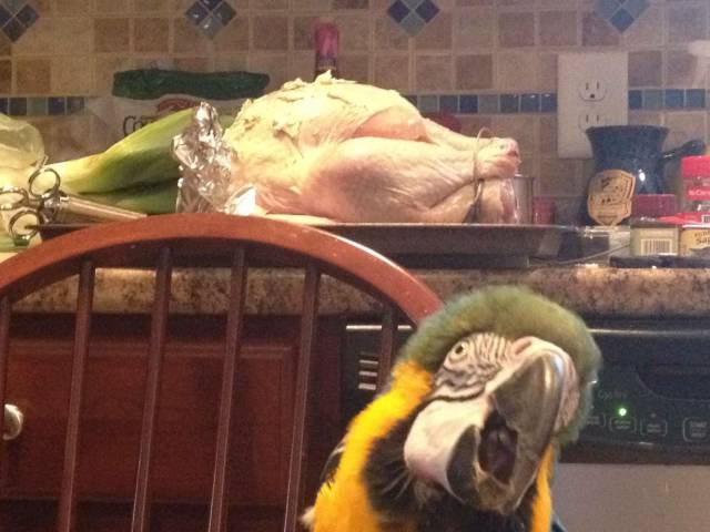 Content Image