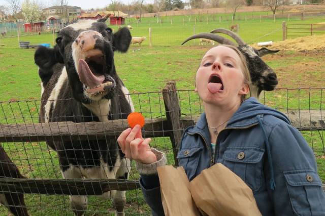 Daily Picdump