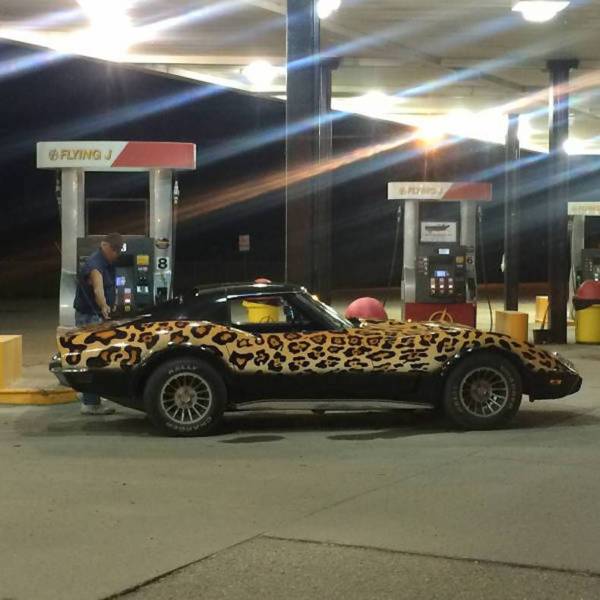 Daily Picdump