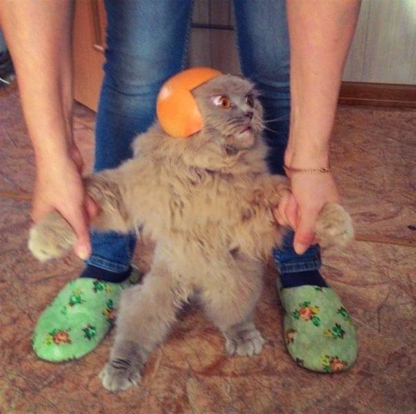Daily Picdump