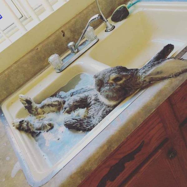 Daily Picdump