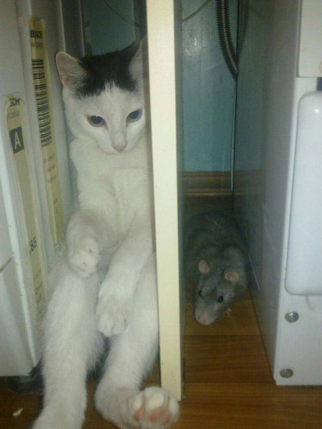 Daily Picdump