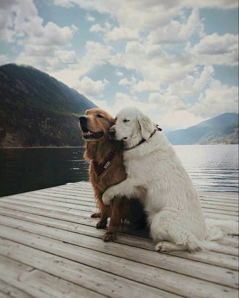 Morning Picdump