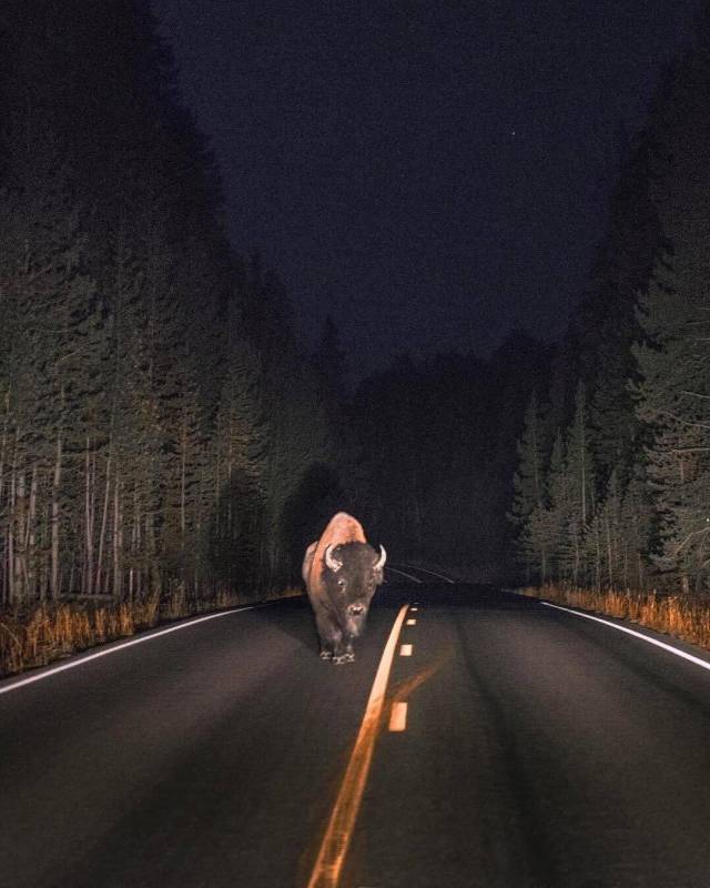 Daily Picdump [WEEKEND EDITION]