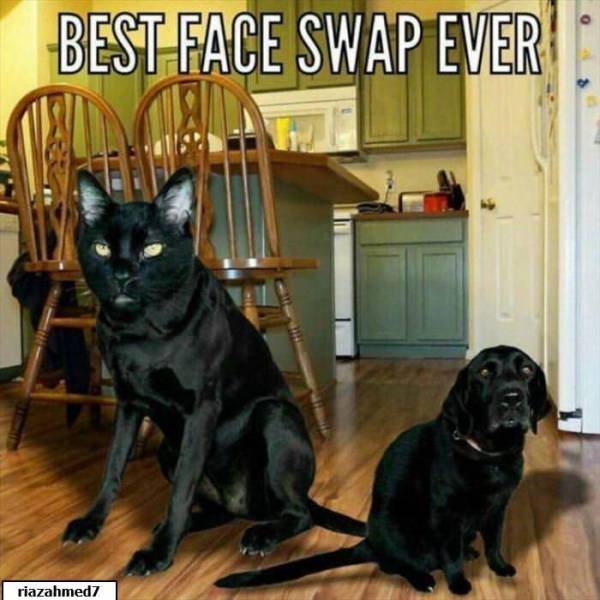 Daily Picdump