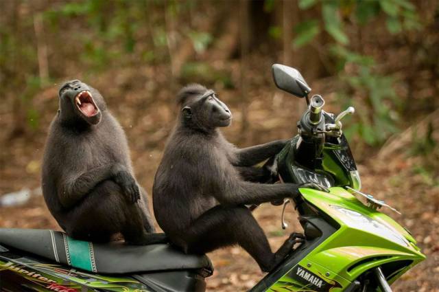 Daily Picdump