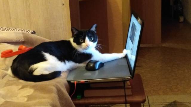 Daily Picdump