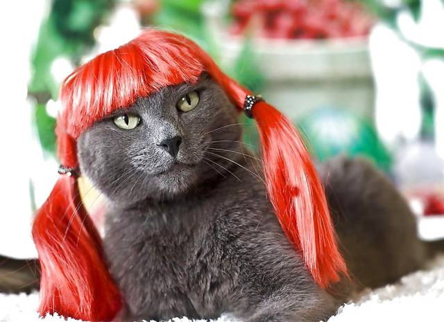 Daily Picdump