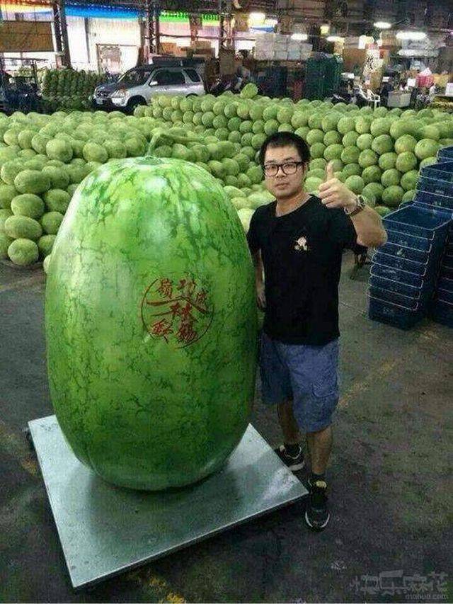 Content Image