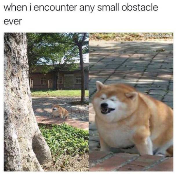 Content Image