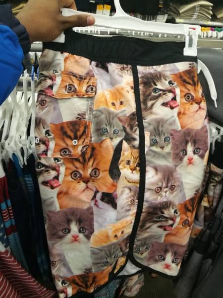 Morning Picdump