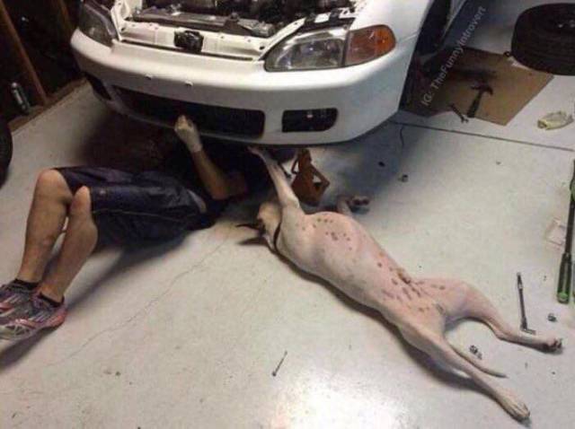 Content Image