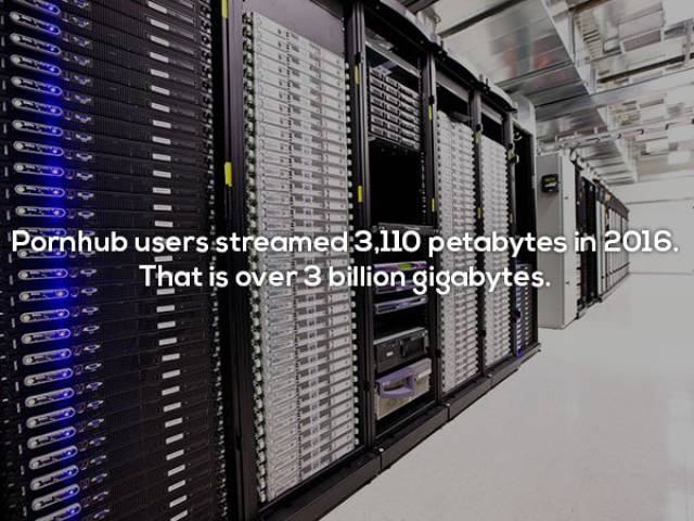 Porn Comes With Some Naughty Facts