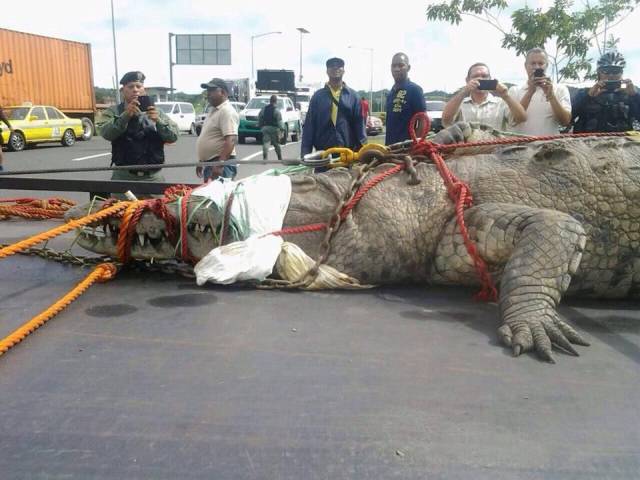 Daily Picdump
