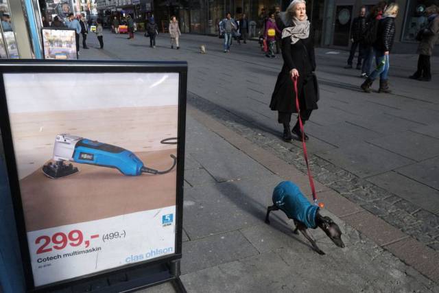 Daily Picdump