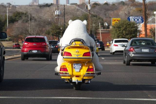 Daily Picdump