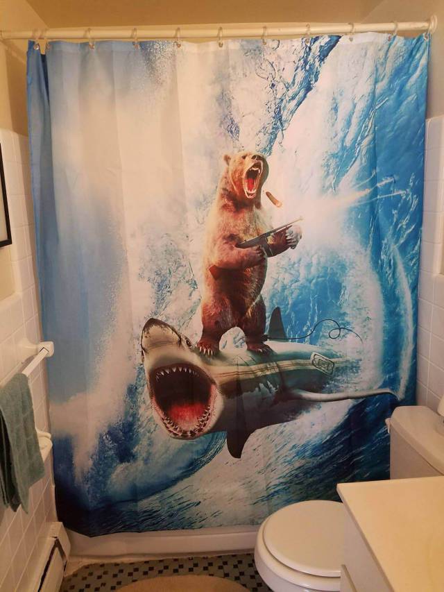Daily Picdump