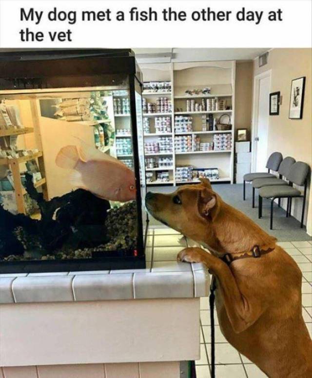 Daily Picdump