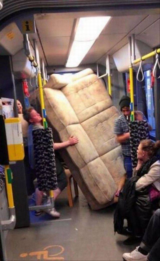 Content Image