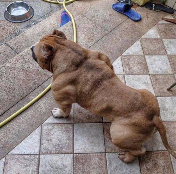 Morning Picdump