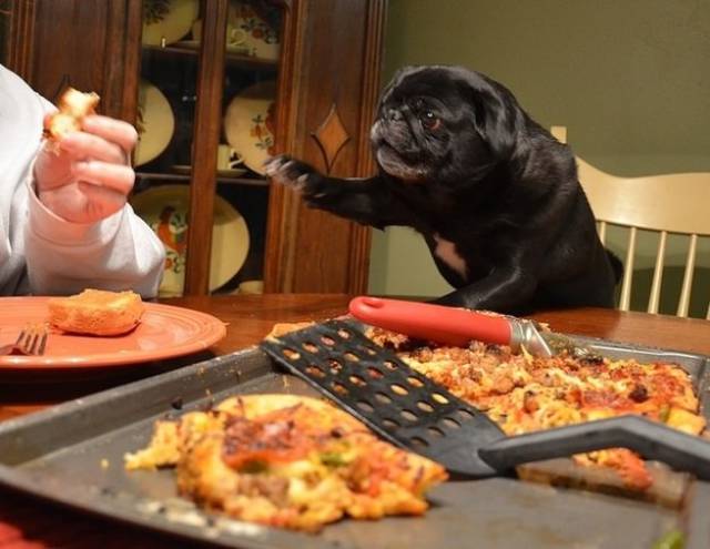 Morning Picdump