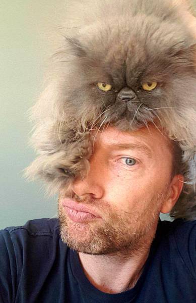 Morning Picdump
