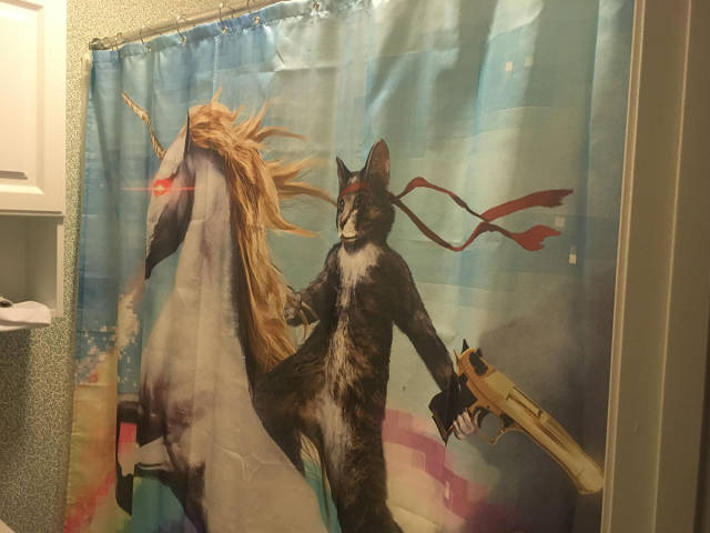 Content Image