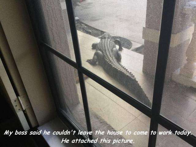 Content Image