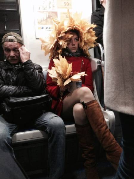 Morning Picdump