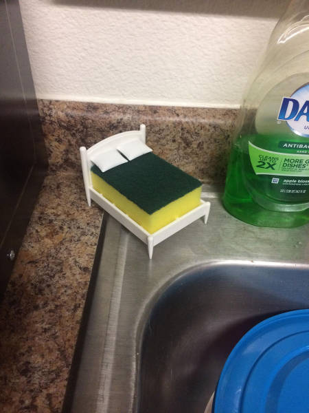 Morning Picdump