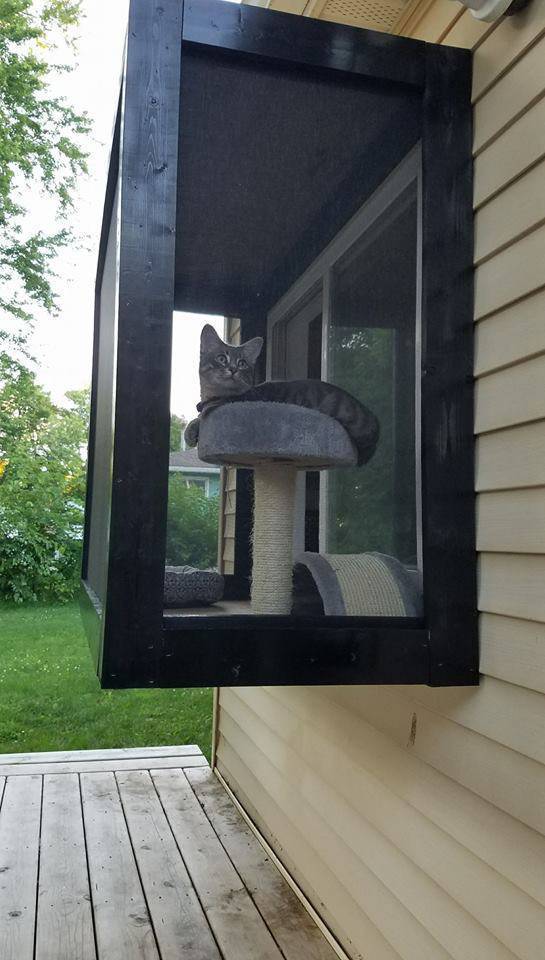 Morning Picdump