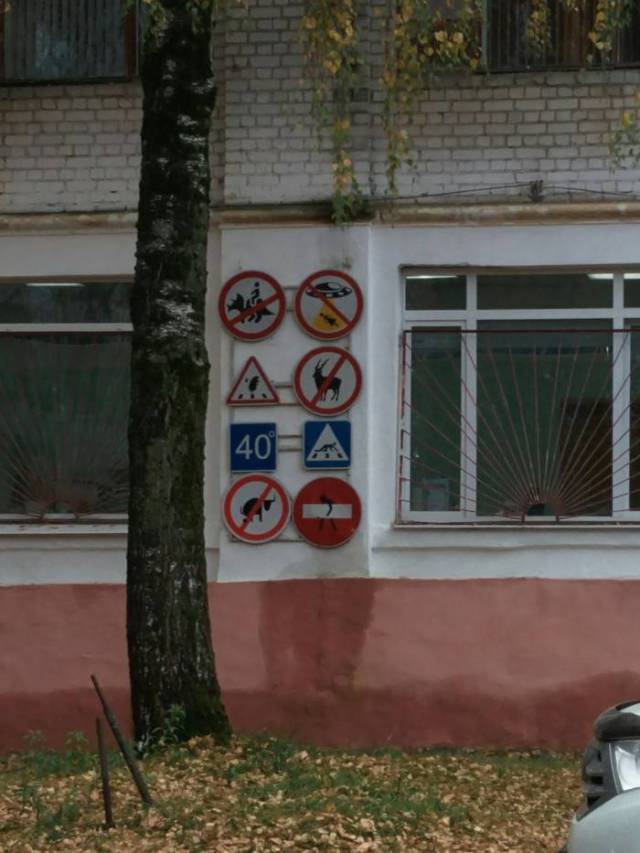 Morning Picdump