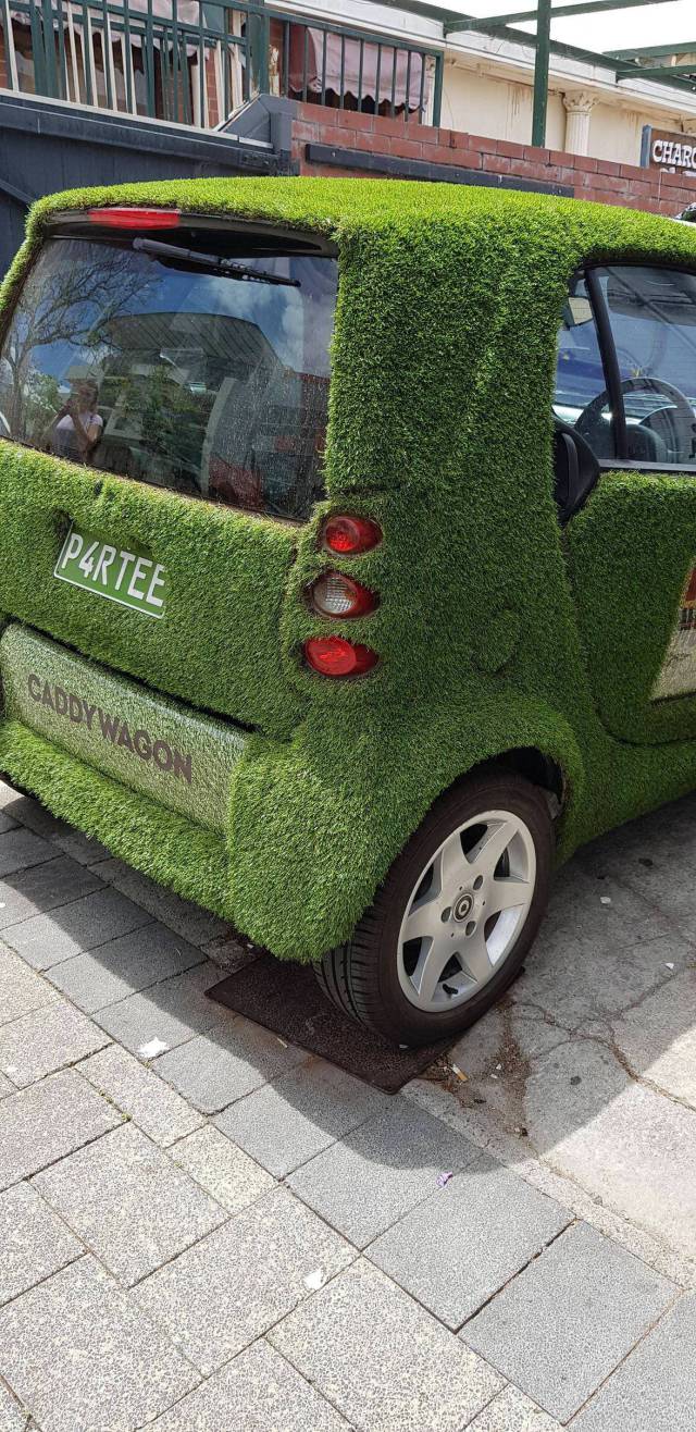 Morning Picdump