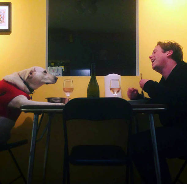 These Are The Best Kinds Of Boyfriends And Husbands!