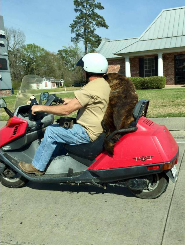 Morning Picdump
