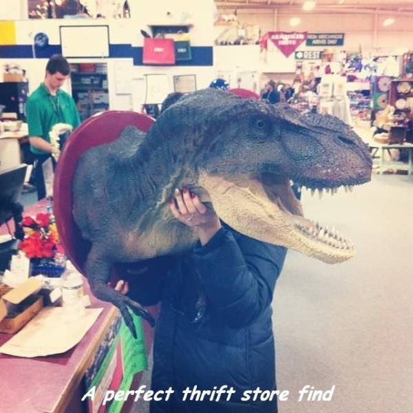 Daily Picdump