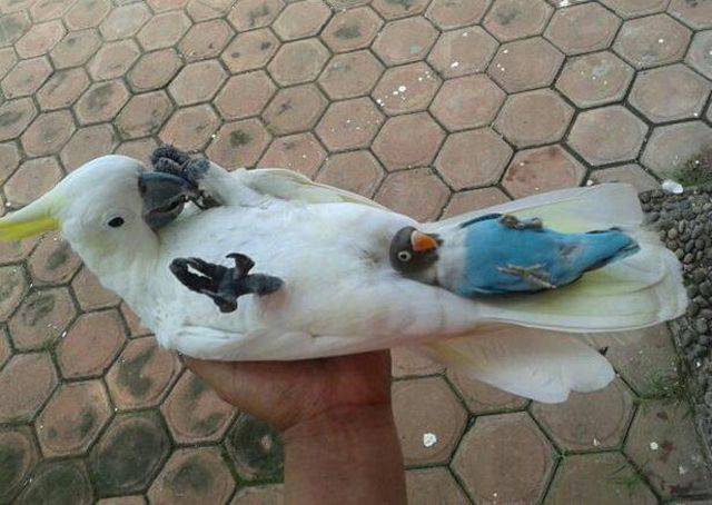 Daily Picdump