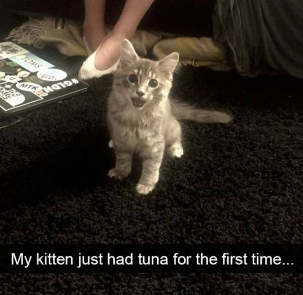 Daily Picdump