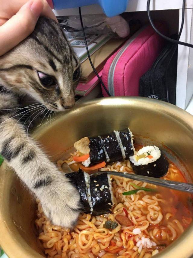 Content Image