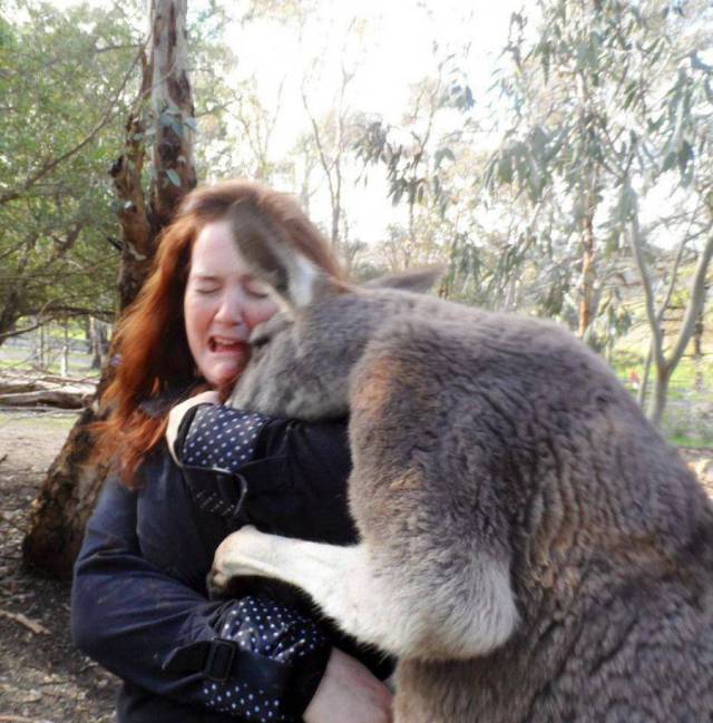 Content Image
